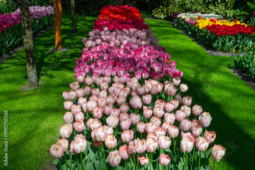 Netherlands, Amsterdam, Keukhenhof