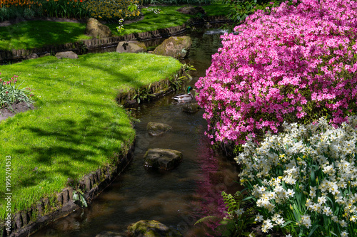 japanese garden pond