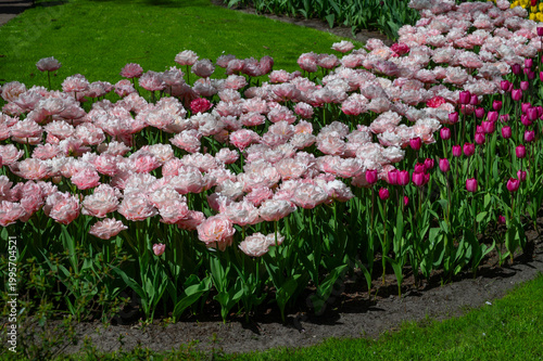 Netherlands, Amsterdam, Keukhenhof