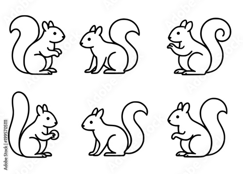 Squirrel minimalist outline icon set
