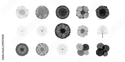 Set of top view tree icons for landscape architecture design and garden planning