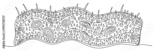 Microscopic membrane texture with spikes and organic cells in line art style