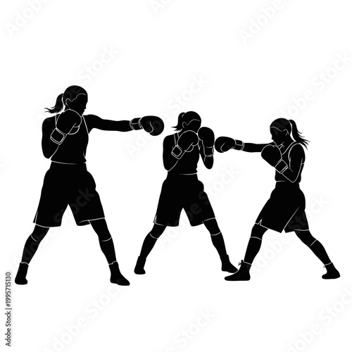Female Boxers Silhouettes Fighting Training Sparring Boxing Gloves Sport