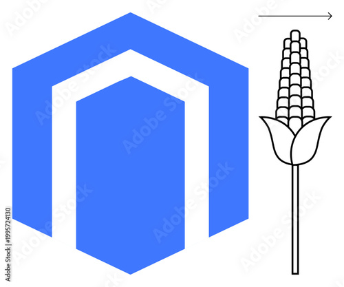 Agriculture, sustainability, farming, growth, innovation, direction. A blue geometric hexagonal shape next to a corn plant icon and an arrow. Agriculture and sustainability concepts