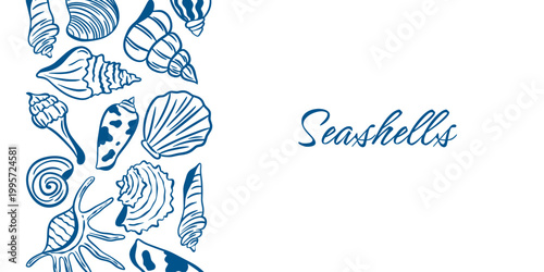 Horizontal template with hand-drawn shells and mollusks and copy space. Template themed around the sea, ocean, coastal, recreation, tourism, and seafood. Banner with border. Vector graphic