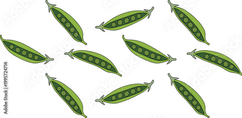 Cartoon vector illustration of pea pod pattern showing green vegetable food design with stylized fresh natural theme