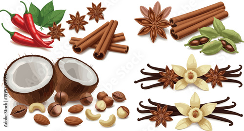 Hand drawn spice and ingredient collection with cinnamon sticks, vanilla pods, coconut, chili peppers, nuts and star anise vector set