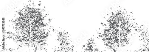 Black and white grunge silhouette of tree canopies