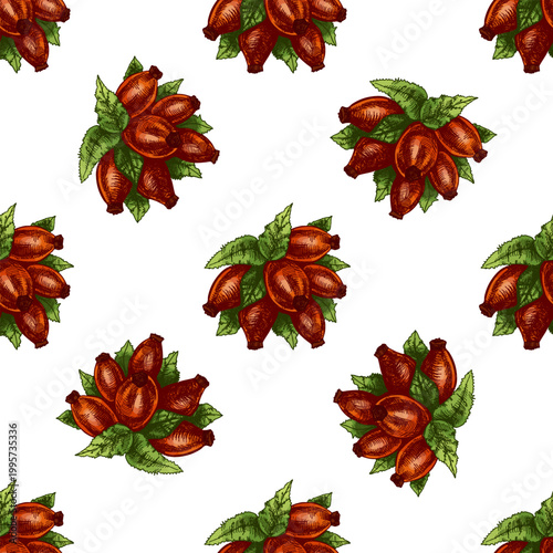Hand drawn vintage seamless pattern of rosehip berries bundle with leaves in color engraving botanical illustration design