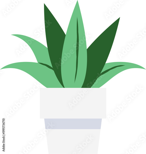 Potted plant
