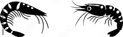 A vibrant macro of raw Spot Prawns showcases their bright red color and distinctive white spots against a pristine white backdrop