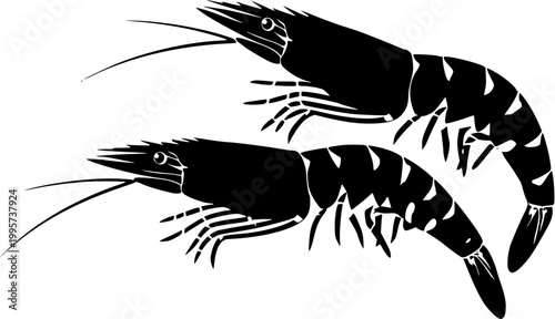 A photorealistic macro captures raw Tiger Prawns with shells intact, showcasing their distinct dark stripes against a pure white background