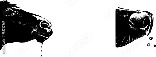 A photorealistic macro captures a deers wet nose in exquisite detail, showcasing the textured skin surface and moisture droplets against a pure white background