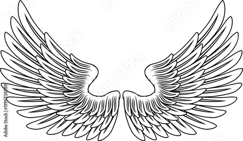 A pair of angel, eagle or p...