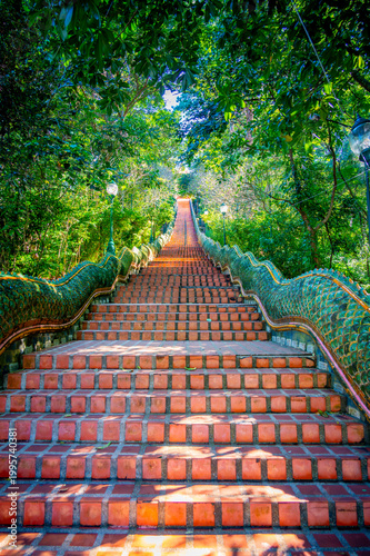 Low angle view of Naga staircase leading to Wat Phra That Doi Suthep temple in Thailand, ornate serpent railings and steps surrounded by lush greenery and tropical forest
