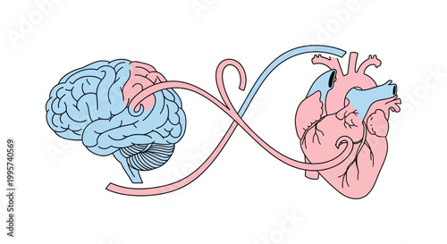 Blue and pink brain illustration with white background