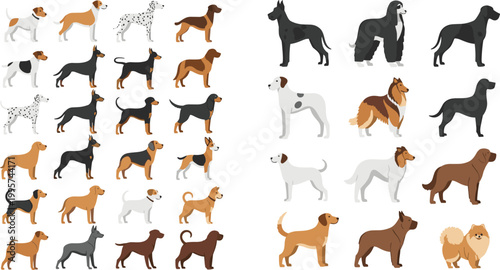 Flat Style Dog Breed Character Set with Silhouettes Including Dalmatian, Collie, and Pomeranian for Pet and Animal Illustration Designs