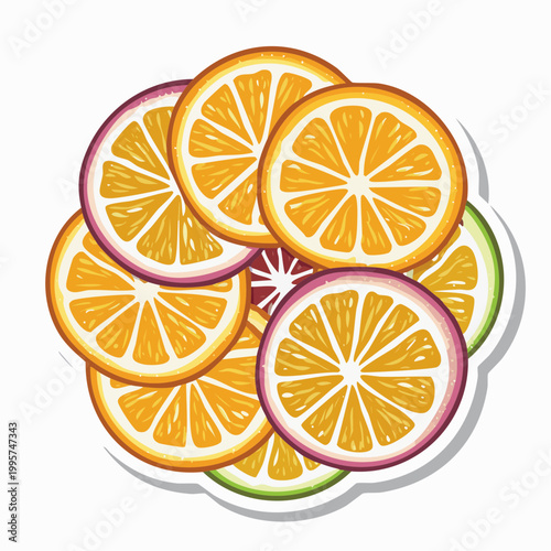 Citrus Fruit Slices Arrangement