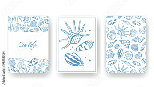 Set of templates with hand-drawn shells and mollusks. Vertical posters on the theme of the sea, ocean, coastal, recreation, tourism, and seafood. Banner, brochure, cover, mockup, flyer. Vector graphic