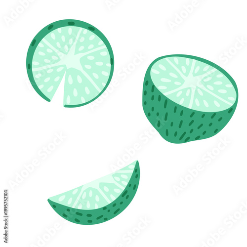 Lime slice cartoon citrus vector illustration set. Fresh juicy fruit clipart. Food ingredient in flat hand drawn style for menu, poster, sticker, packaging and festive design isolated on white