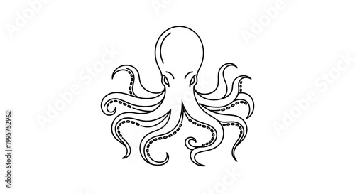 Octopus line art illustration, minimal seafood animal drawing