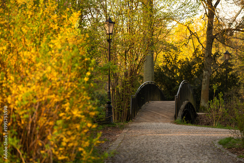 Park w Pszczynie wiosną o poranku, ciepłe światło słoneczne i świeża zieleń