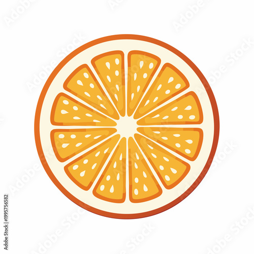 Illustration of a Fresh Orange Slice