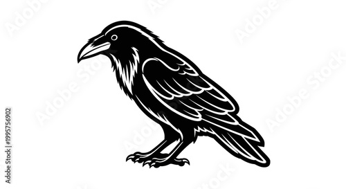 Black Raven Silhouette, Gothic Bird, Mystical Creature