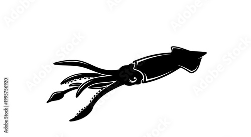 Black silhouette of a squid with tentacles spread, isolated on white background.