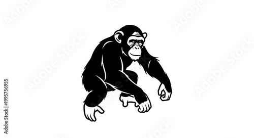 Chimpanzee Silhouette on White Background