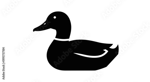 Silhouette of a mallard duck on a white background.