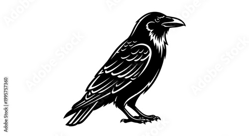 Stylized Black Raven Silhouette Perched on White Background
