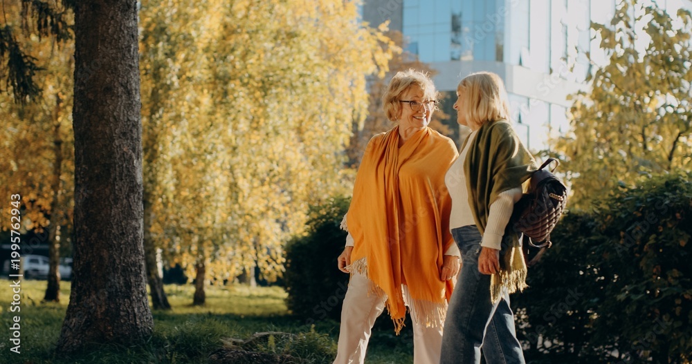 Obraz premium Senior friends walking talking enjoying autumn sunny day