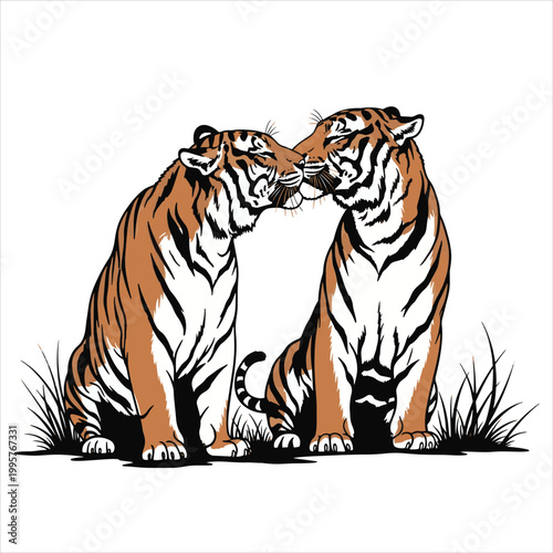 Tiger couple illustration, orange and white tigers, animal vector graphics, wildlife art, endangered species icons