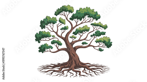  Majestic Oak Illustration: An illustrated representation of a venerable oak tree, boasting a strong trunk, expansive branches, and a network of roots. The artwork signifies growth, strength.