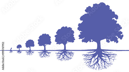 Growth Sequence of Trees: A visual narrative of growth and resilience, as a tree evolves through distinct stages, showcasing the beauty of transformation and the strength of interconnectedness.