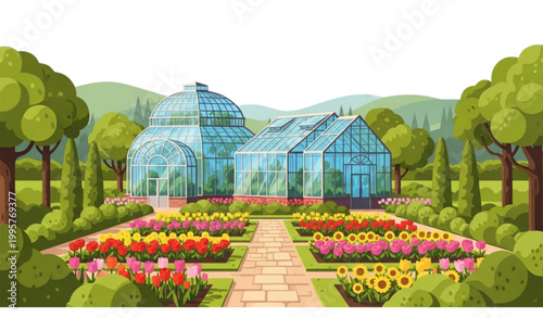Botanical garden vector illustration glass greenhouse flowers landscape