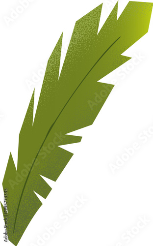 Green Palm Leaf