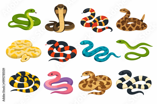 Collection of various snake species illustrations