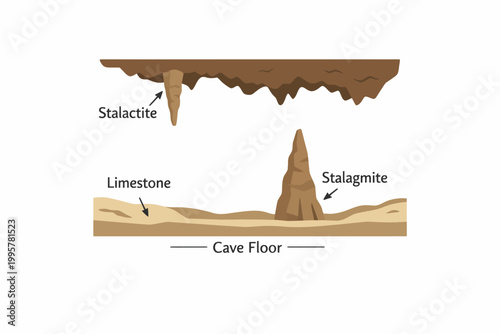 Diagram of stalactites and stalagmites formation in limestone caves