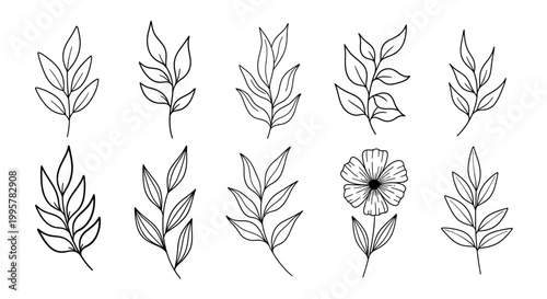 Black and white leaf illustrations set.