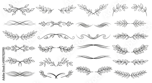 Collection of various leaf designs.