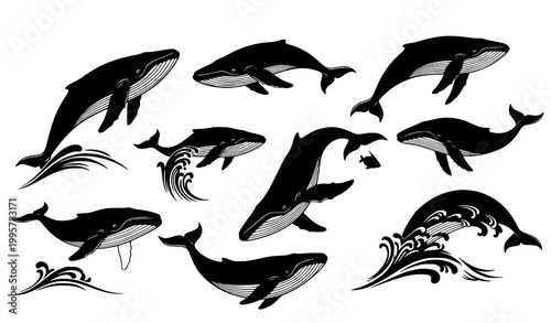 Whale silhouette vector collection with blue whale ocean animal motion poses marine clipart set isolated on white