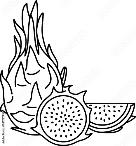 Black and white line of dragon fruit, whole, halved, and sliced pitaya tropical exotic