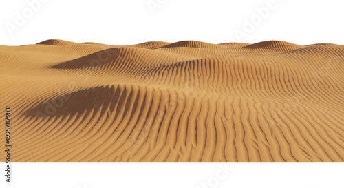 Vector illustration of abstract 3d render of a desert landscape with sand dunes on a transparent background