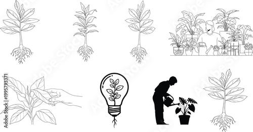 Botanical illustrations and silhouettes a collection of floral designs plant life and human figures in black and white