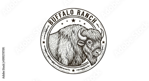 Buffalo Ranch Logo Emblem Vintage Style Animal Wildlife Illustration