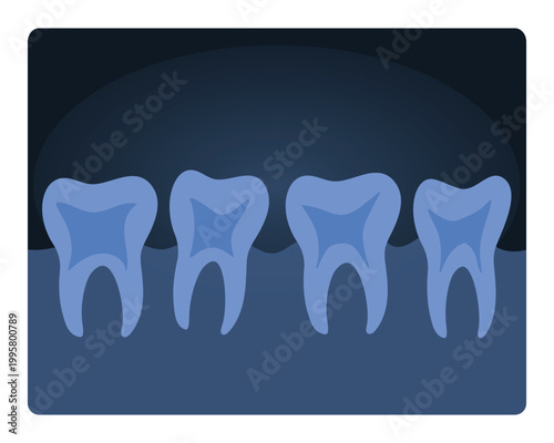 Dental xray scan. Human teeth radiography, medical test of human tooth cartoon vector illustration