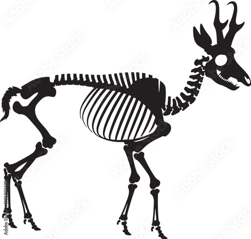 Deer skeleton silhouette illustration with antlers and ribcage anatomy for hunt or spooky designs.