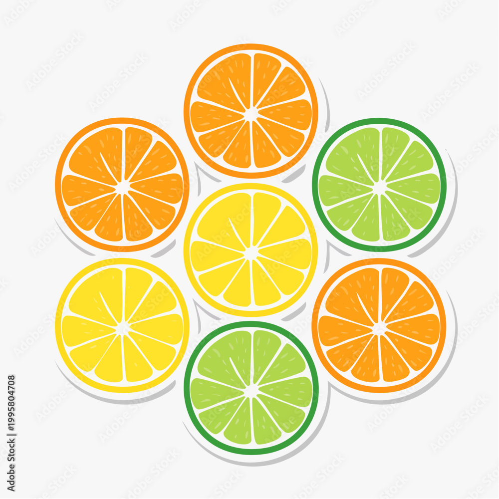 Fototapeta premium Citrus Fruit Slices Arrangement